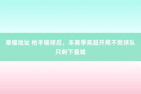 草榴地址 枪手输球后，本赛季英超开局不败球队只剩下曼城