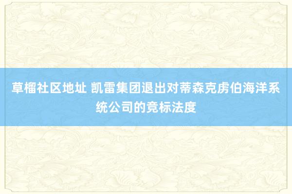 草榴社区地址 凯雷集团退出对蒂森克虏伯海洋系统公司的竞标法度