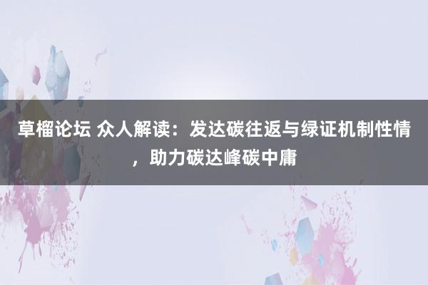 草榴论坛 众人解读：发达碳往返与绿证机制性情，助力碳达峰碳中庸