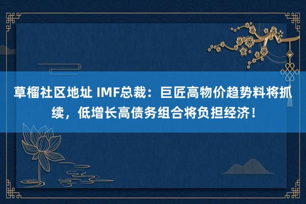 草榴社区地址 IMF总裁：巨匠高物价趋势料将抓续，低增长高债务组合将负担经济！