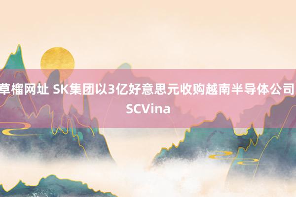 草榴网址 SK集团以3亿好意思元收购越南半导体公司ISCVina