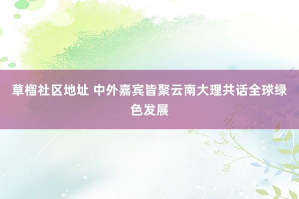 草榴社区地址 中外嘉宾皆聚云南大理共话全球绿色发展