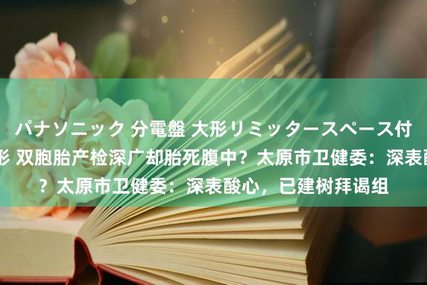 パナソニック 分電盤 大形リミッタースペース付 露出・半埋込両用形 双胞胎产检深广却胎死腹中？太原市卫健委：深表酸心，已建树拜谒组