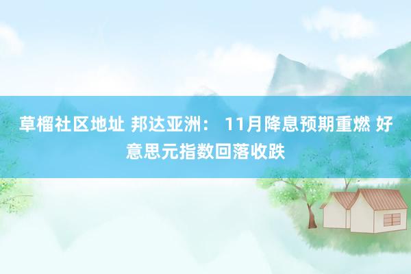 草榴社区地址 邦达亚洲： 11月降息预期重燃 好意思元指数回落收跌