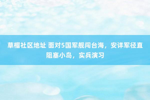 草榴社区地址 面对5国军舰闯台海，安详军径直阻塞小岛，实兵演习