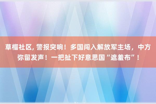 草榴社区， 警报突响！多国闯入解放军主场，中方弥留发声！一把扯下好意思国“遮羞布”！