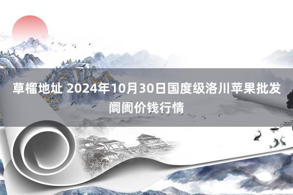 草榴地址 2024年10月30日国度级洛川苹果批发阛阓价钱行情