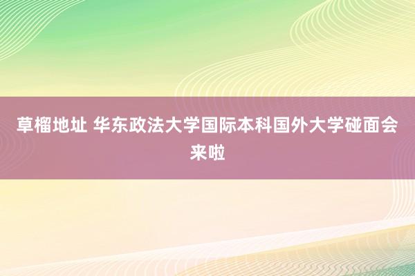 草榴地址 华东政法大学国际本科国外大学碰面会来啦