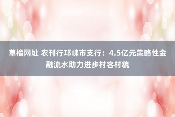 草榴网址 农刊行邛崃市支行：4.5亿元策略性金融流水助力进步村容村貌