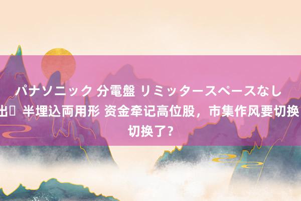 パナソニック 分電盤 リミッタースペースなし 露出・半埋込両用形 资金牵记高位股，市集作风要切换了？