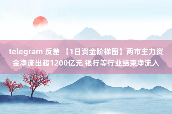 telegram 反差 【1日资金阶梯图】两市主力资金净流出超1200亿元 银行等行业结束净流入