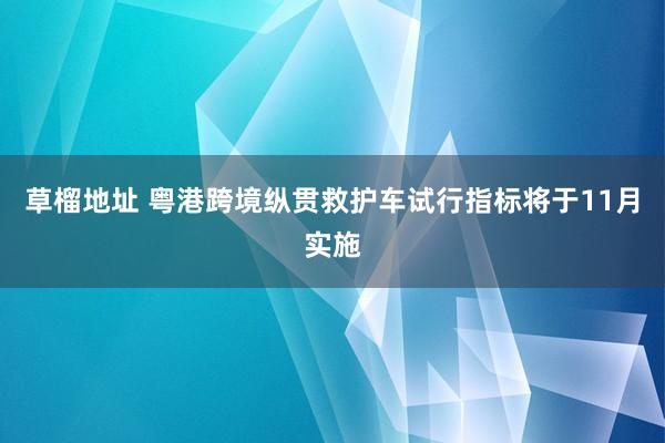 草榴地址 粤港跨境纵贯救护车试行指标将于11月实施