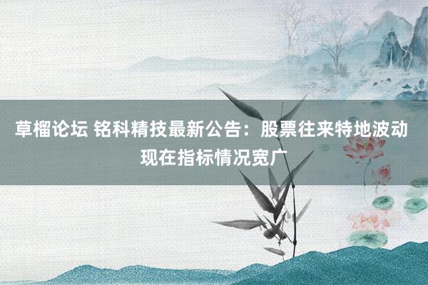 草榴论坛 铭科精技最新公告：股票往来特地波动 现在指标情况宽广