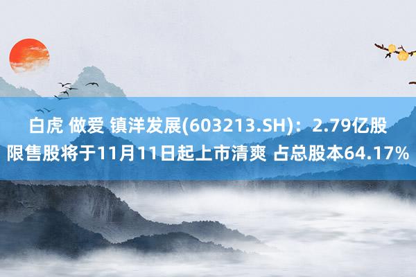 白虎 做爱 镇洋发展(603213.SH)：2.79亿股限售股将于11月11日起上市清爽 占总股本64.17%