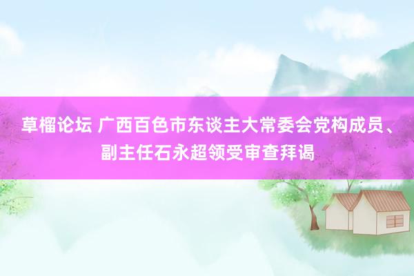 草榴论坛 广西百色市东谈主大常委会党构成员、副主任石永超领受审查拜谒