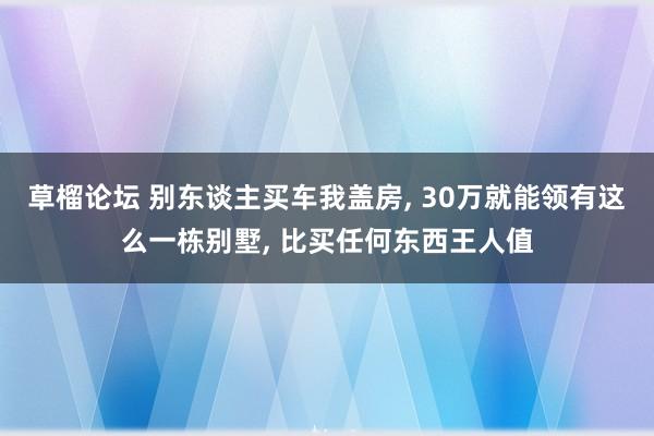 草榴论坛 别东谈主买车我盖房, 30万就能领有这么一栋别墅, 比买任何东西王人值