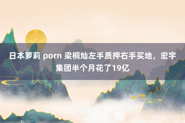日本萝莉 porn 梁桐灿左手质押右手买地，宏宇集团半个月花了19亿