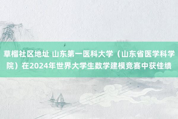 草榴社区地址 山东第一医科大学（山东省医学科学院）在2024年世界大学生数学建模竞赛中获佳绩