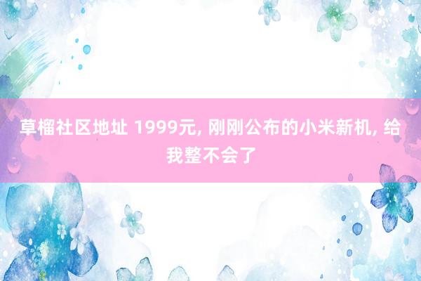 草榴社区地址 1999元， 刚刚公布的小米新机， 给我整不会了