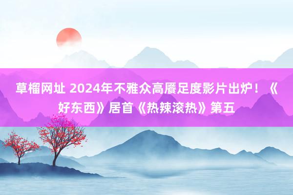 草榴网址 2024年不雅众高餍足度影片出炉！《好东西》居首《热辣滚热》第五