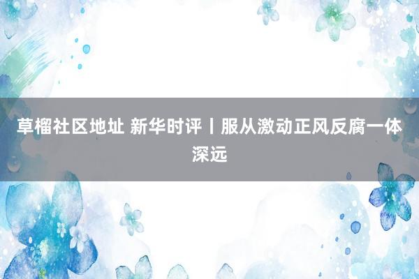 草榴社区地址 新华时评丨服从激动正风反腐一体深远