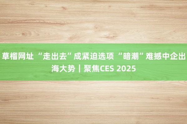 草榴网址 “走出去”成紧迫选项 “暗潮”难撼中企出海大势｜聚焦CES 2025