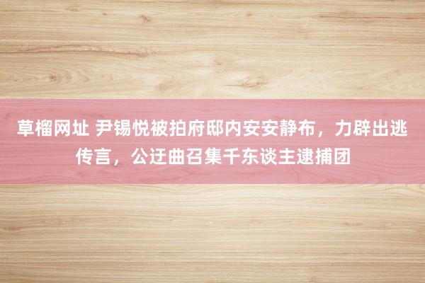 草榴网址 尹锡悦被拍府邸内安安静布，力辟出逃传言，公迂曲召集千东谈主逮捕团