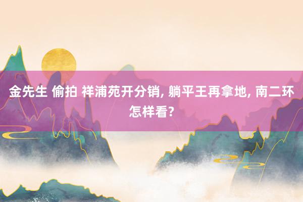 金先生 偷拍 祥浦苑开分销， 躺平王再拿地， 南二环怎样看?