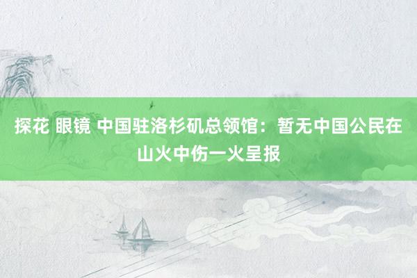 探花 眼镜 中国驻洛杉矶总领馆：暂无中国公民在山火中伤一火呈报