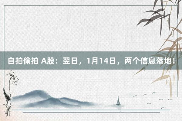 自拍偷拍 A股：翌日，1月14日，两个信息落地！