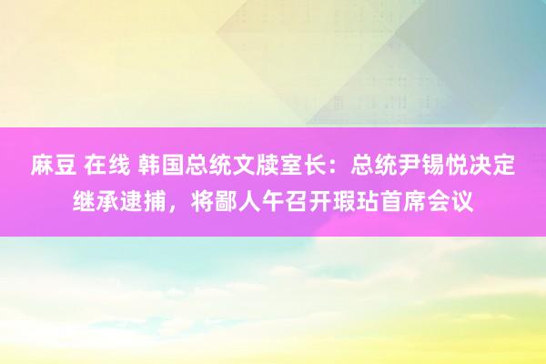 麻豆 在线 韩国总统文牍室长：总统尹锡悦决定继承逮捕，将鄙人午召开瑕玷首席会议