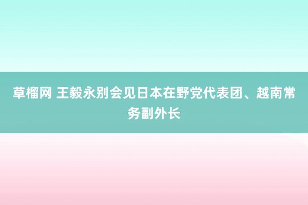 草榴网 王毅永别会见日本在野党代表团、越南常务副外长