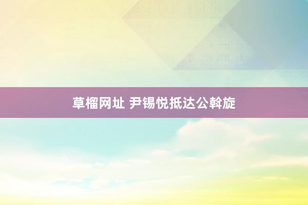 草榴网址 尹锡悦抵达公斡旋