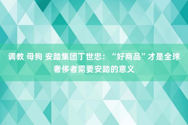 调教 母狗 安踏集团丁世忠：“好商品”才是全球奢侈者需要安踏的意义