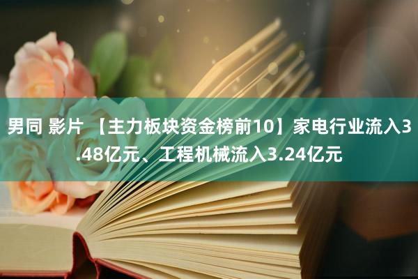 男同 影片 【主力板块资金榜前10】家电行业流入3.48亿元、工程机械流入3.24亿元